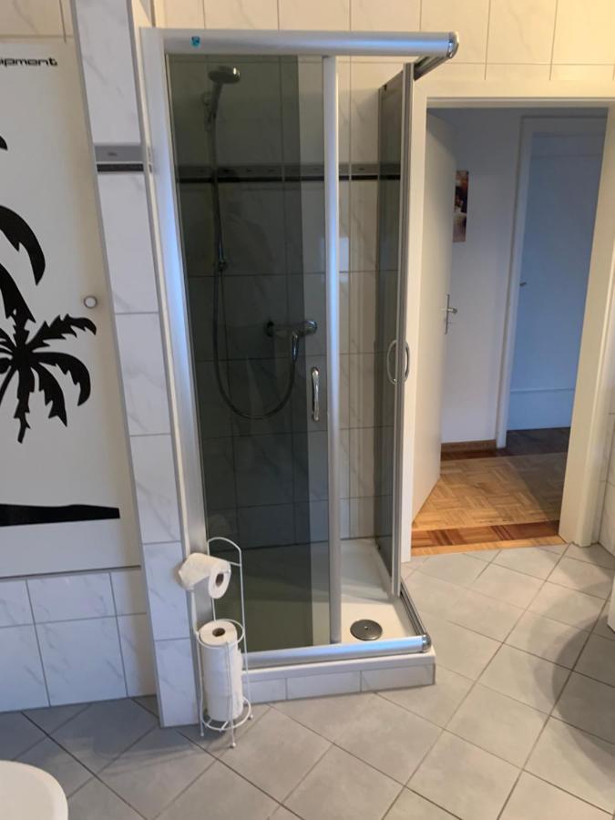 Mainpark Apartment 4 Schlafzimmer Bis Zu 10 Personen Direkt Ueber Aschaffapartment Bei Aschaffenburg Mainaschaff Exterior foto
